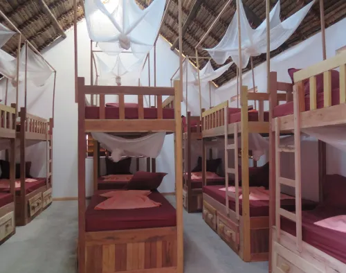 Youth Hostel