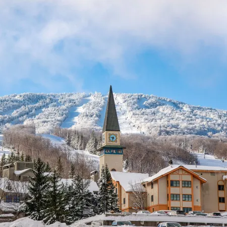 Long Trail House Condominiums at Stratton Mountain Resort