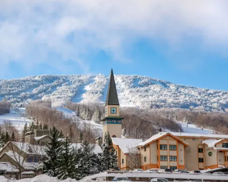 Vantage Point Villas at Stratton Mountain Resort Hotels in Stratton Mountain