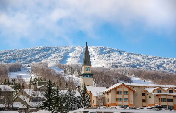史特拉頓山長路屋度假村