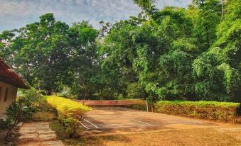 Greetoe Celebration Van Vilas