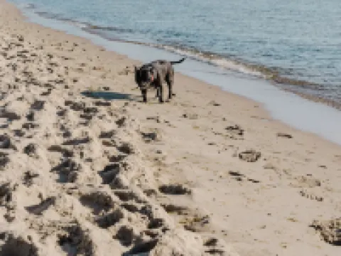 Hotel Aqua Sopot - Destigo Hotels Hotels in Sopot