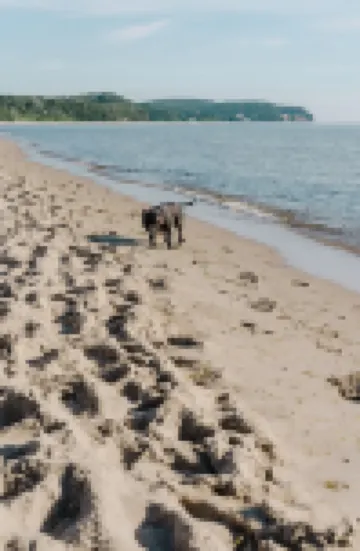 โรงแรม อัควา โซโปต - เดสทิโก โฮเทลส์ โรงแรมในโซพอต