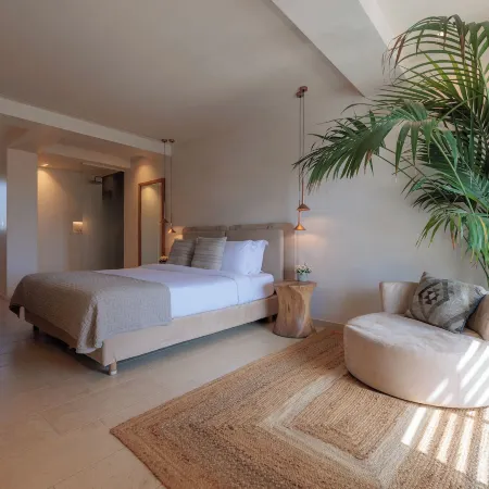 Asty Mykonos Hotel & Spa - World of One Hotel Group
