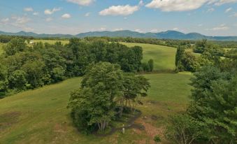 Red Hill Bed and Breakfast