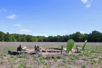 20 acres, located near beaches, snowmobile trails and other local attractions. - Wifi