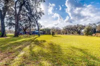 Spacious Retreat with Pool and Treehouse - Inviting Family Haven Hotels in Plant City