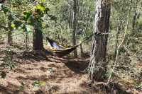 Milky Way with AC and WiFi, glamping near Houston