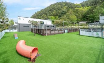 Gapyeong Dangdangi Pet Poolvilla Blue