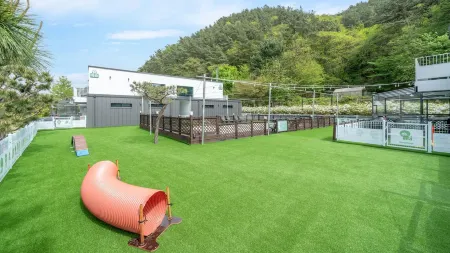 Gapyeong Dangdangi Pet Poolvilla Blue