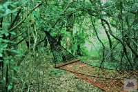 Base Camp Wilpattu - camping