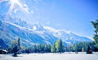 Vert Lodge Chamonix