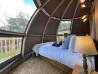 Sunrise Dome Tent Hotels in Jeffreyston