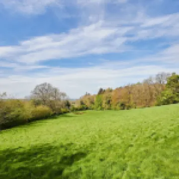 Host Stay 曼尼福德