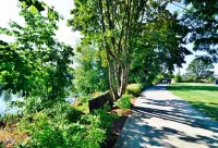 Rodeway Inn Willamette River Hotels in Corvallis