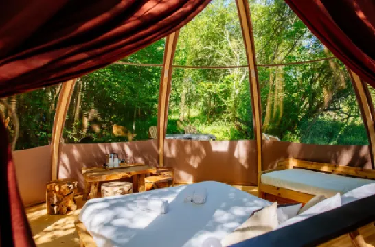 伊科特利亞區域酒店