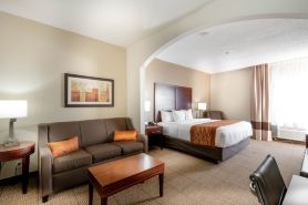 Comfort Inn & Suites Love Field-Dallas Market Center