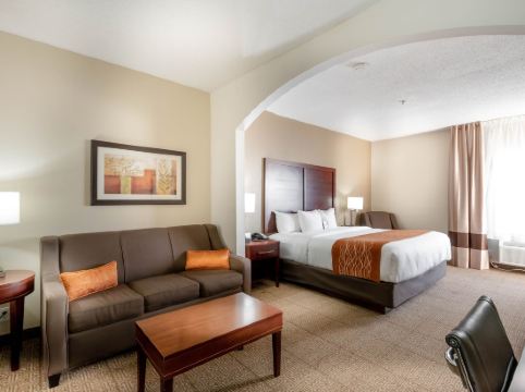 Comfort Inn & Suites Love Field-Dallas Market Center