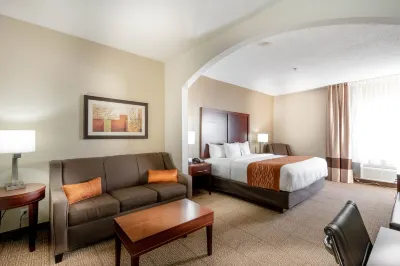 Comfort Inn & Suites Love Field-Dallas Market Center Hotels in Dallas
