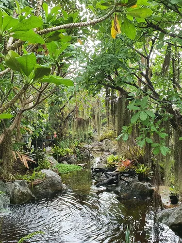 รูปภาพของบ้านขนมปังขิง Gingerbread House