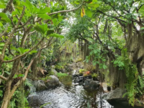 Ginger Bread House - Pet Lover Resort