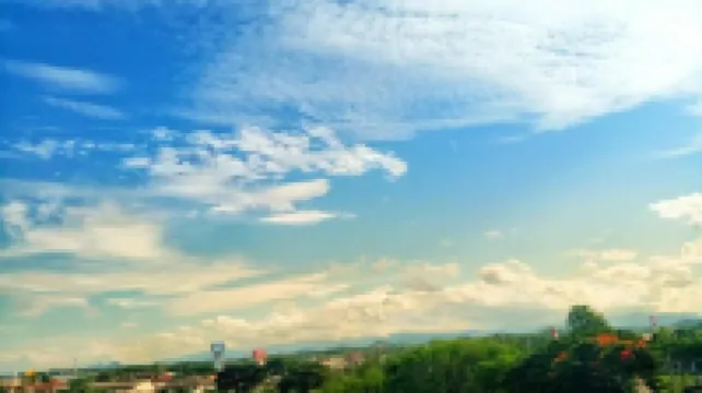 เดอะ บลิส เลย ลีฟวิ่ง