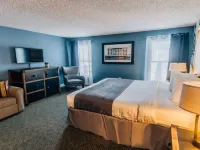 Hollander Hotel - Downtown St. Petersburg Hotels near 400 Beach