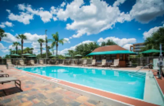 Comfort Inn & Suites Kissimmee by the Parks Hotels in Kissimmee