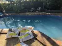 Tamworth Central Motel Hotels in Hillvue