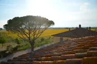 Cortona Resort-Le Terre Dei Cavalieri - Scenic