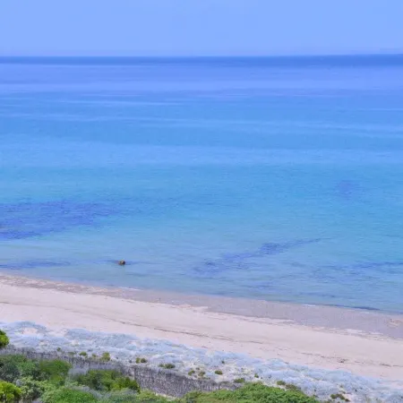 Appartamenti in Gallura