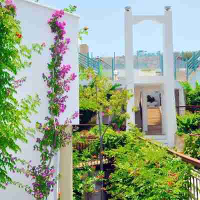 Aparthotel Siesta Beach Bodrum Hotel Exterior