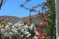 Mare Monte - Mountain view