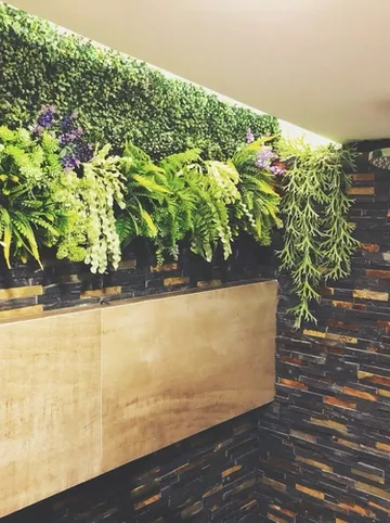 รูปภาพของโอสเตย์