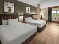 Great Wolf Lodge Grand Mound Hotels in Thurston County