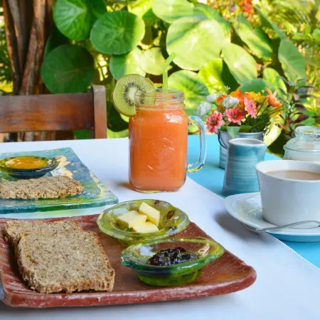 Hotel Villa Mozart y Macondo