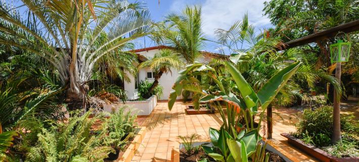 Brisas Studio Apartments Hotels in Noord