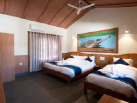 Babai Resort Pvt Ltd Hotels in Bardia