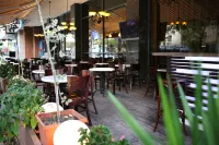 Ani Plaza Hotel - bar