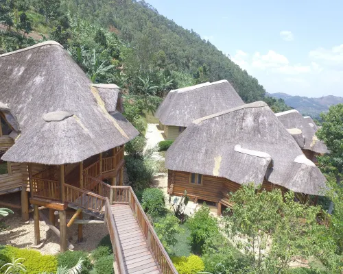 Trackers Safari Lodge Bwindi Hotels in Kinkiizi