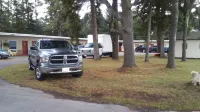Pine Grove Motel - Motels
