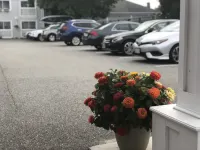 SeaCoast Inn Hotels in Barnstable