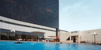 Crowne Plaza RIYADH PALACE by IHG - Pools