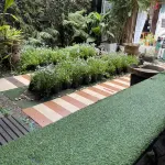 Nature Home Hostel & Cafe Hotels in 