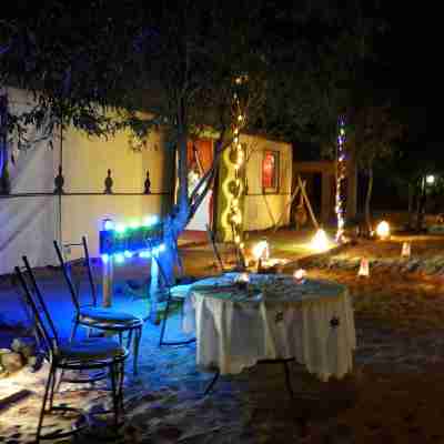 Luxury  Saf Saf Camp Others