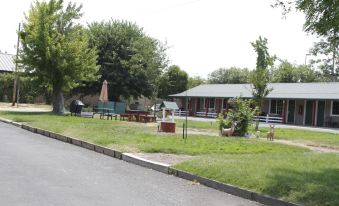 Jumping Frog Motel