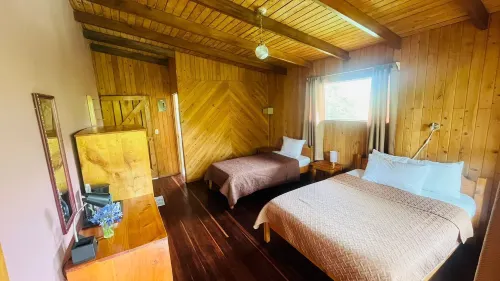 Toucanet Lodge Hotels in Copey