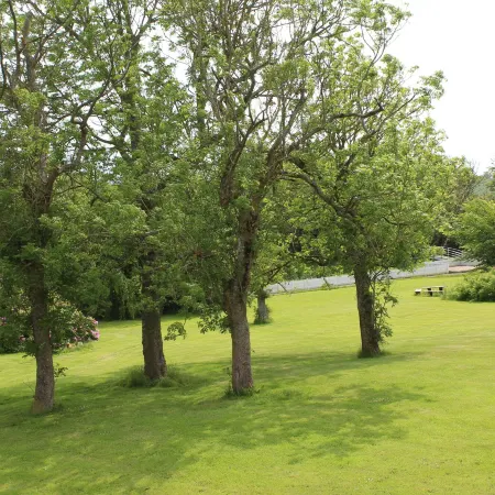Morup Mølle Kro