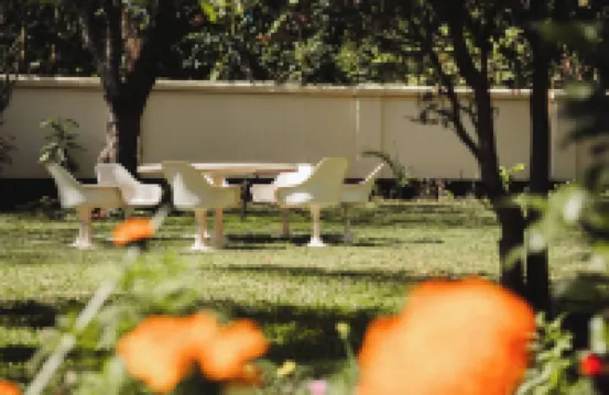 金棕櫚精品酒店 酒店