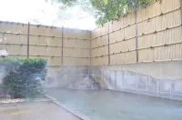 Hotel Shirasagi - spa